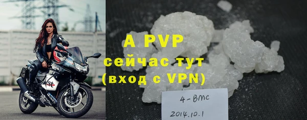 apvp Белокуриха
