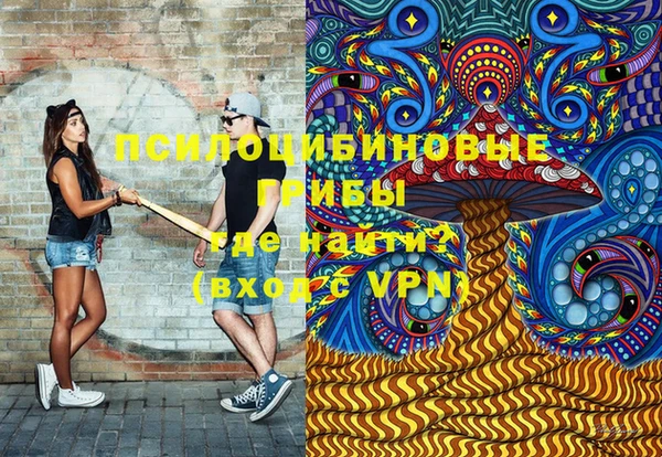 apvp Белокуриха