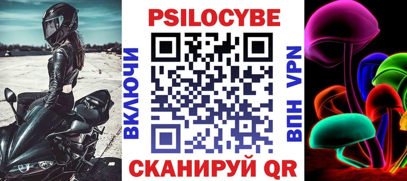 Купить где  Выборг  Псилоцибиновые грибы Psilocybine cubensis 