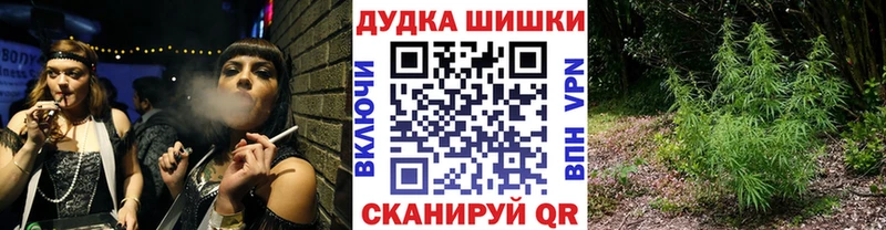 Купить закладки  Выборг  Канабис семена 